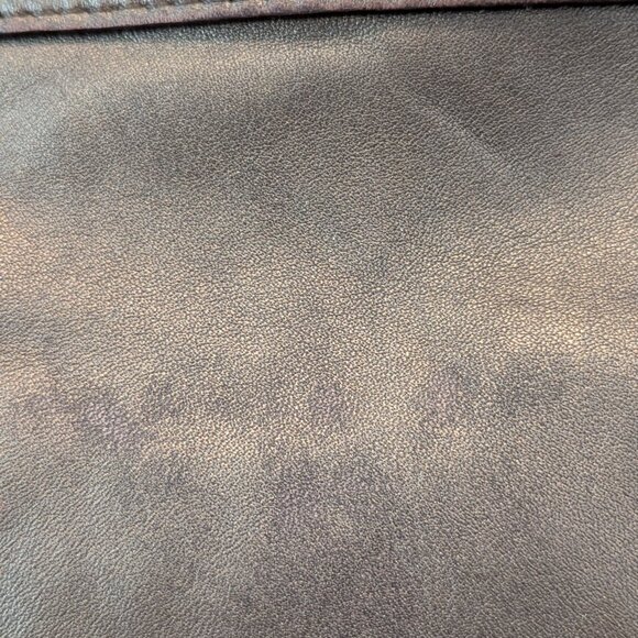 Coach Ashley F17605 Metallic Leather Shoulder Crossbody Bag Purse Bronze Gold - Picture 4 of 13